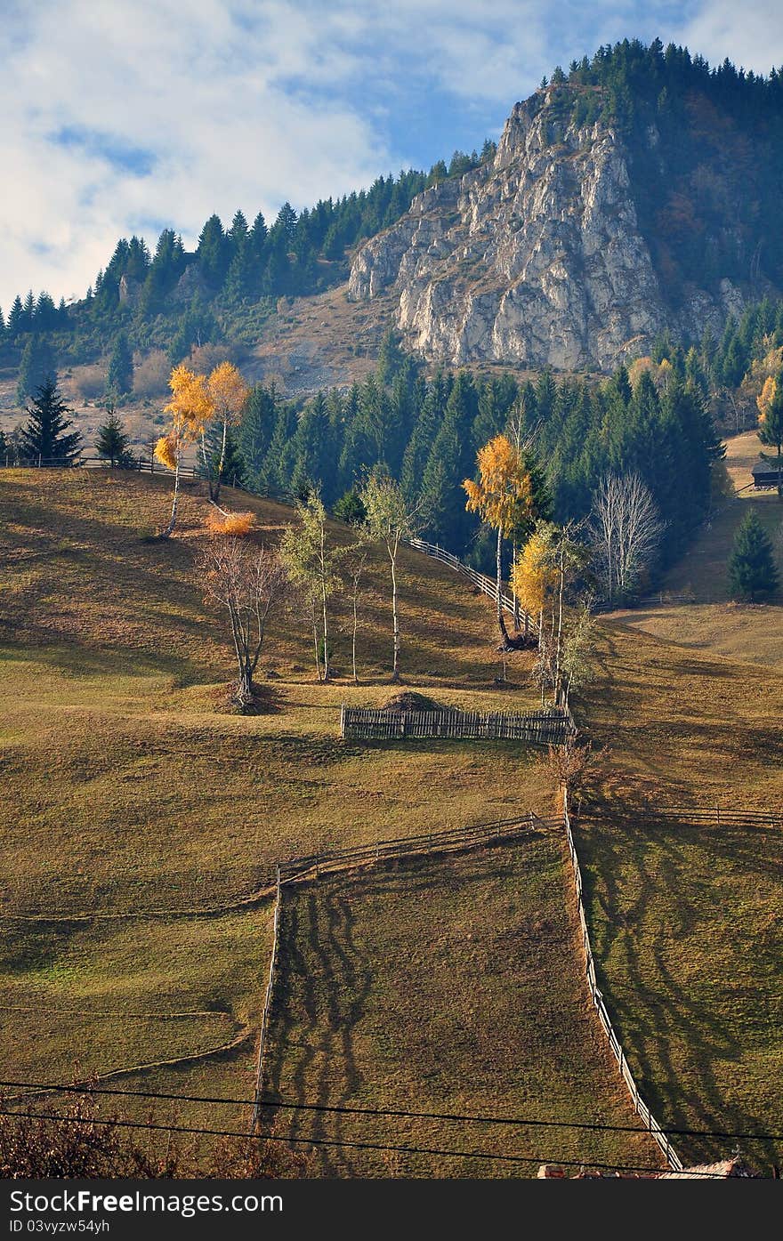 Trees in autumn fence