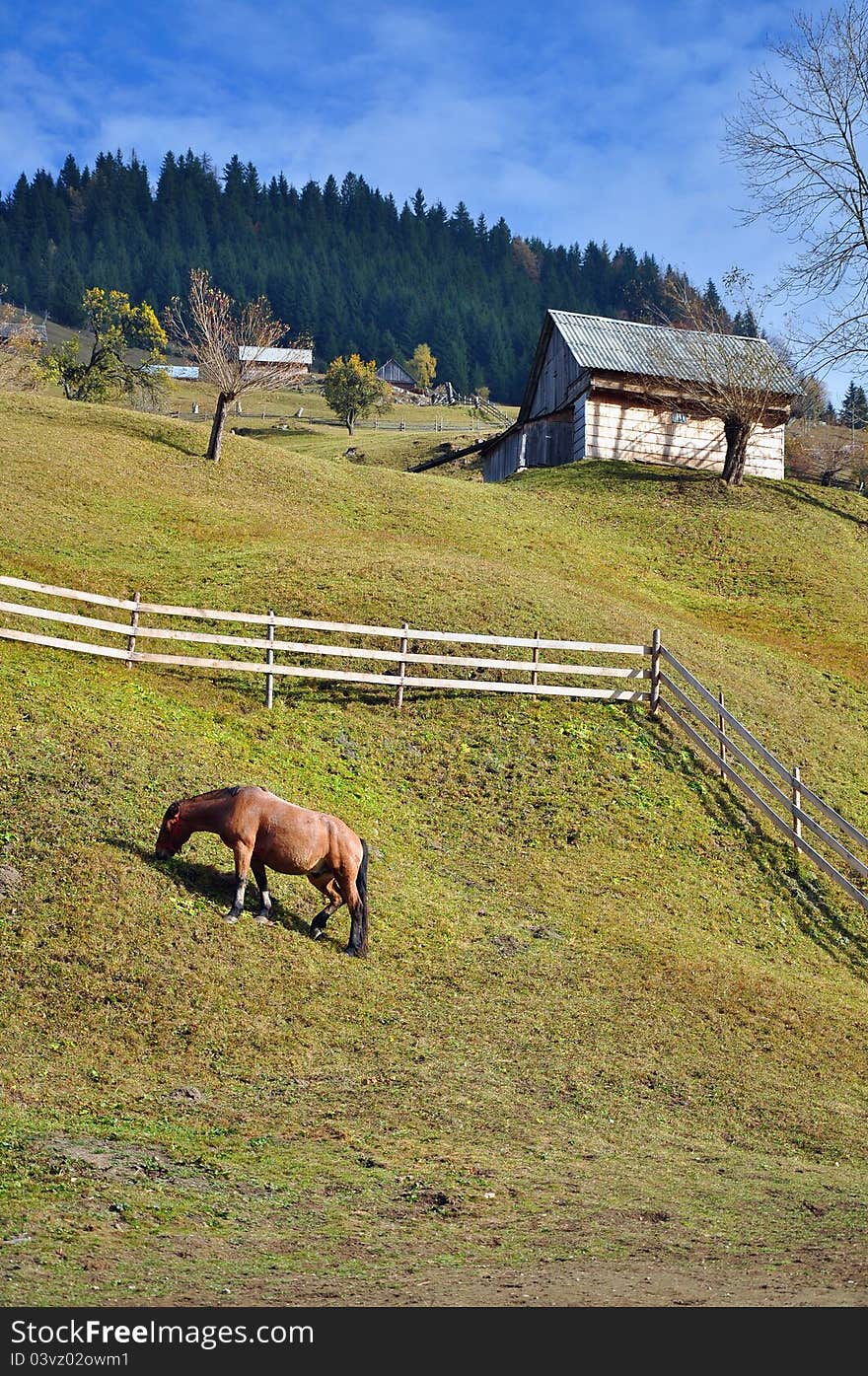 Hill and wooden fence