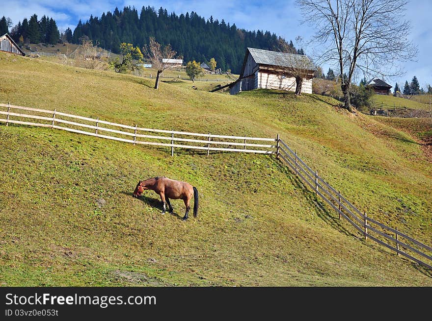 Horse on green hill with wooden fence and cottage. Horse on green hill with wooden fence and cottage