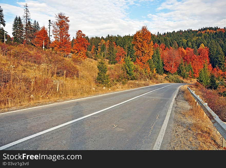 Autumnal road traffic