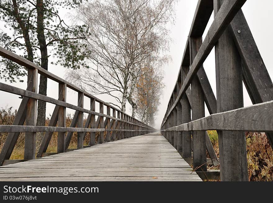 Wooden Pathway Straight Forward