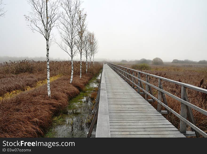 Wooden pathway straight forward into foggy background