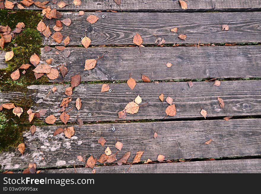 Wooden bridge with autumn leaves