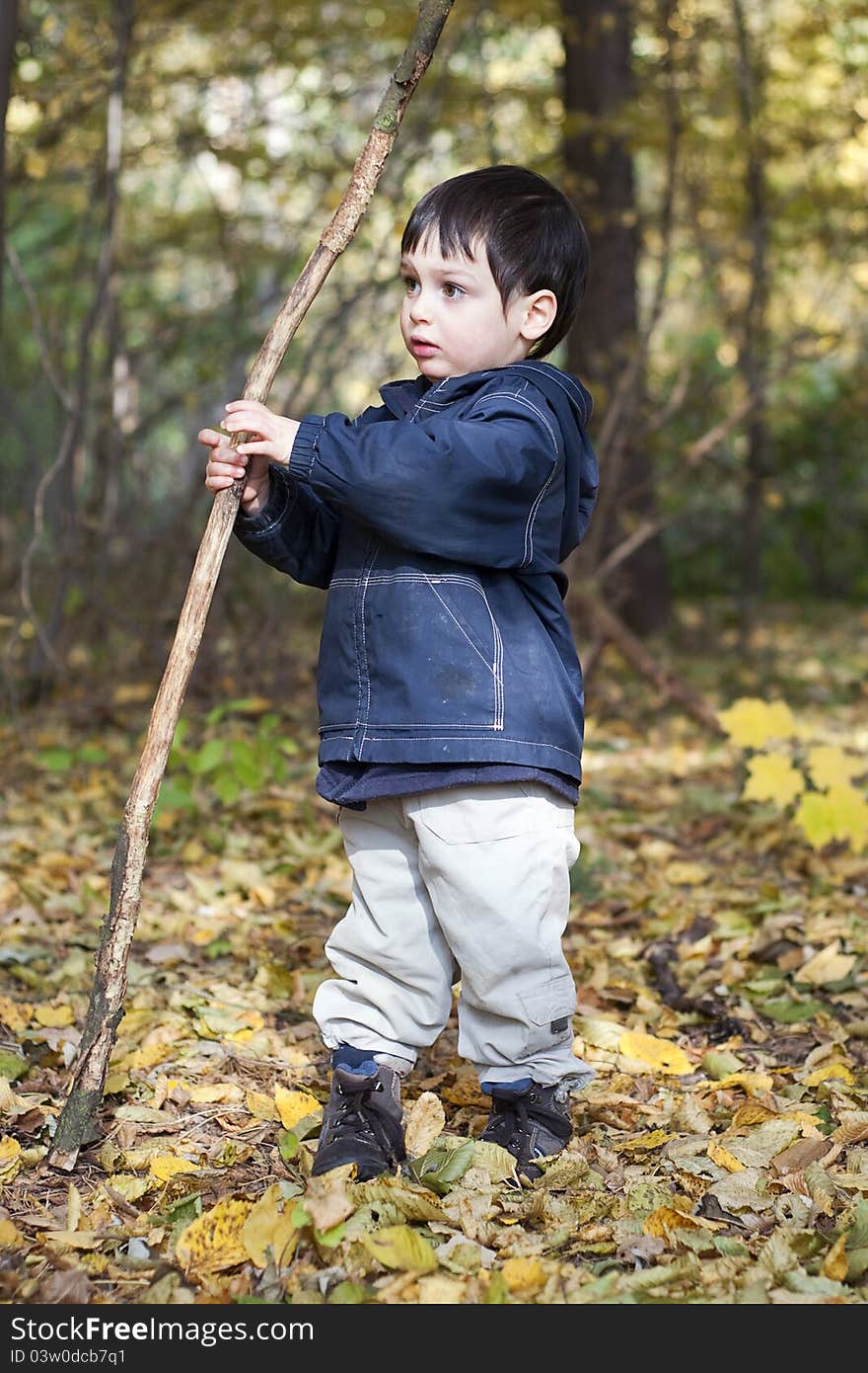 Small child boy playing with a stick in an autumn forest. Small child boy playing with a stick in an autumn forest.