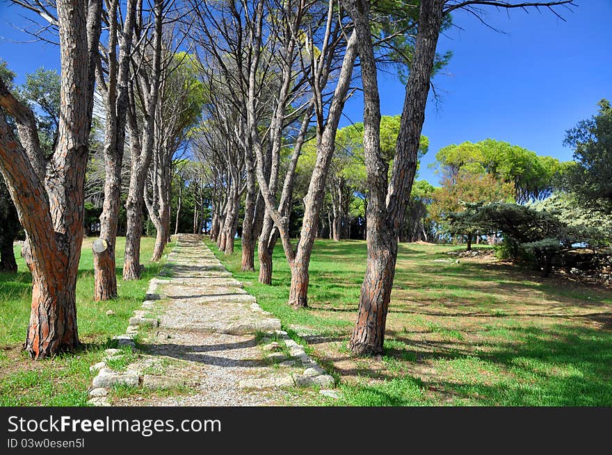 This path is at the ancient monastery of ialyssos on the island of rhodes, greece. This path is at the ancient monastery of ialyssos on the island of rhodes, greece