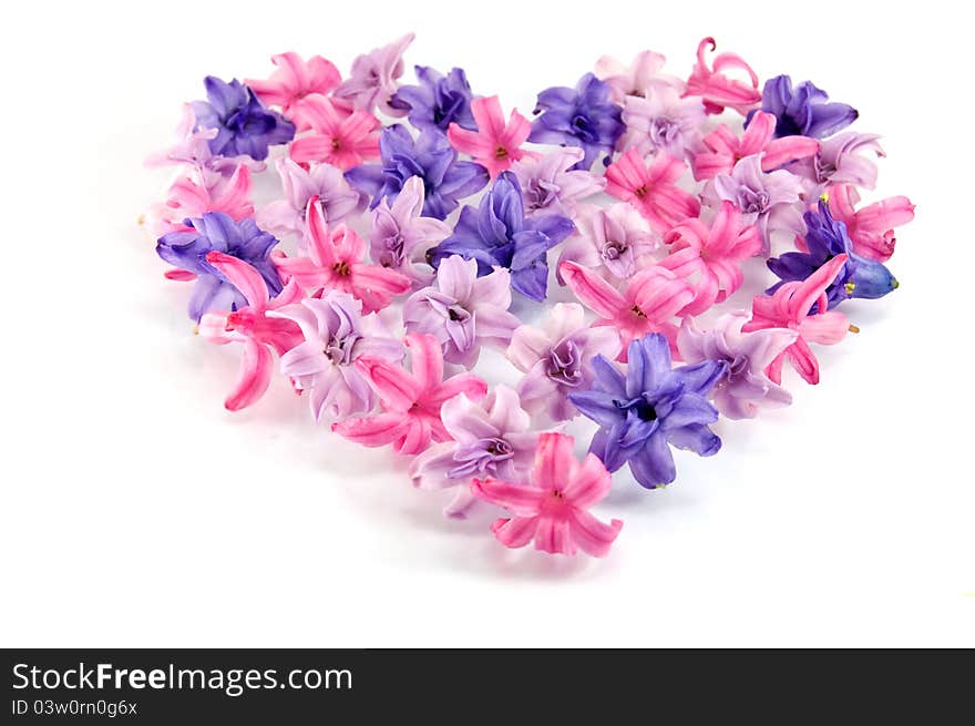 Pink flowers in a shape of a heart