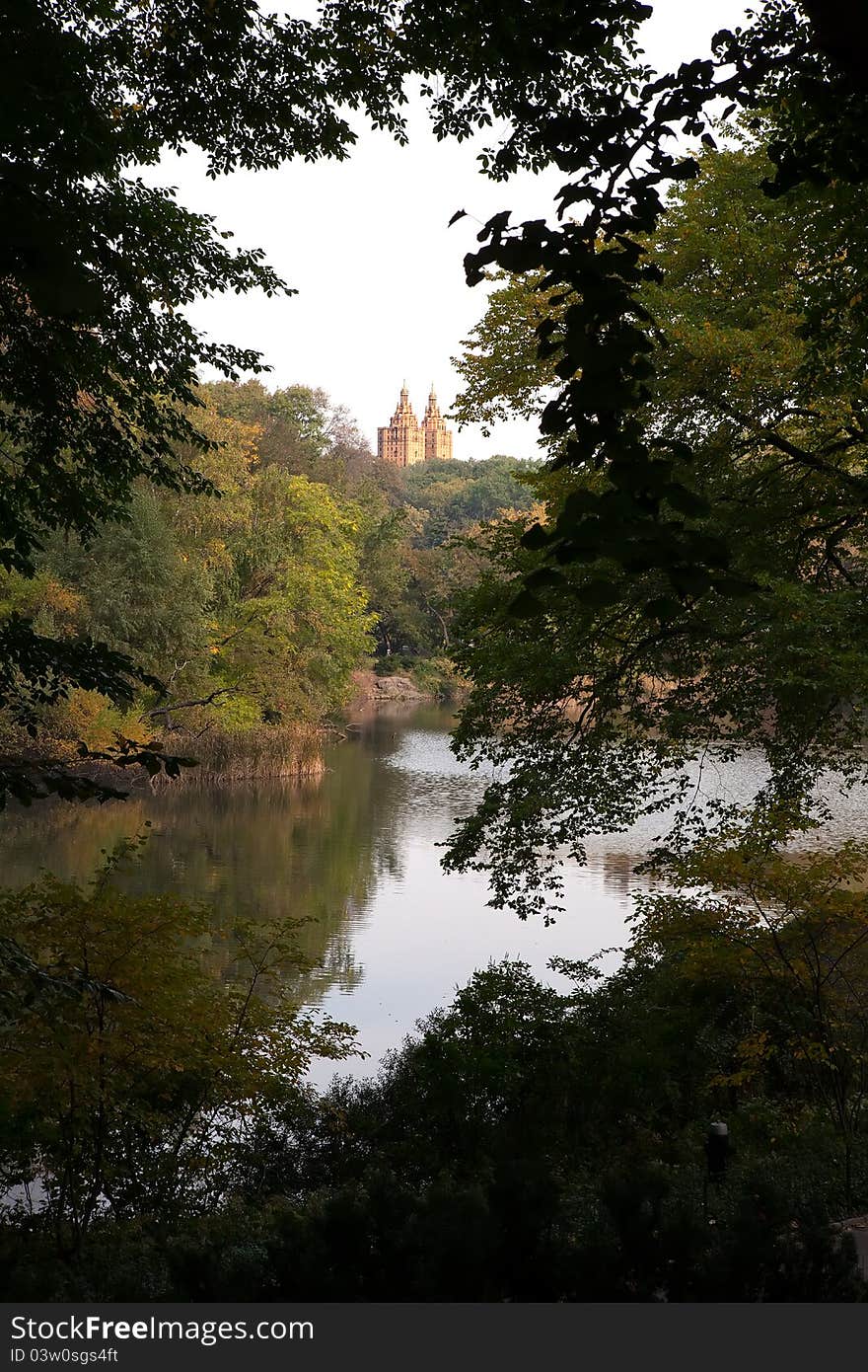 View of Central Park from the southern end looking diagonally across to the west side and the top of one of the Apartment Buildings that line the side of the Park. View of Central Park from the southern end looking diagonally across to the west side and the top of one of the Apartment Buildings that line the side of the Park