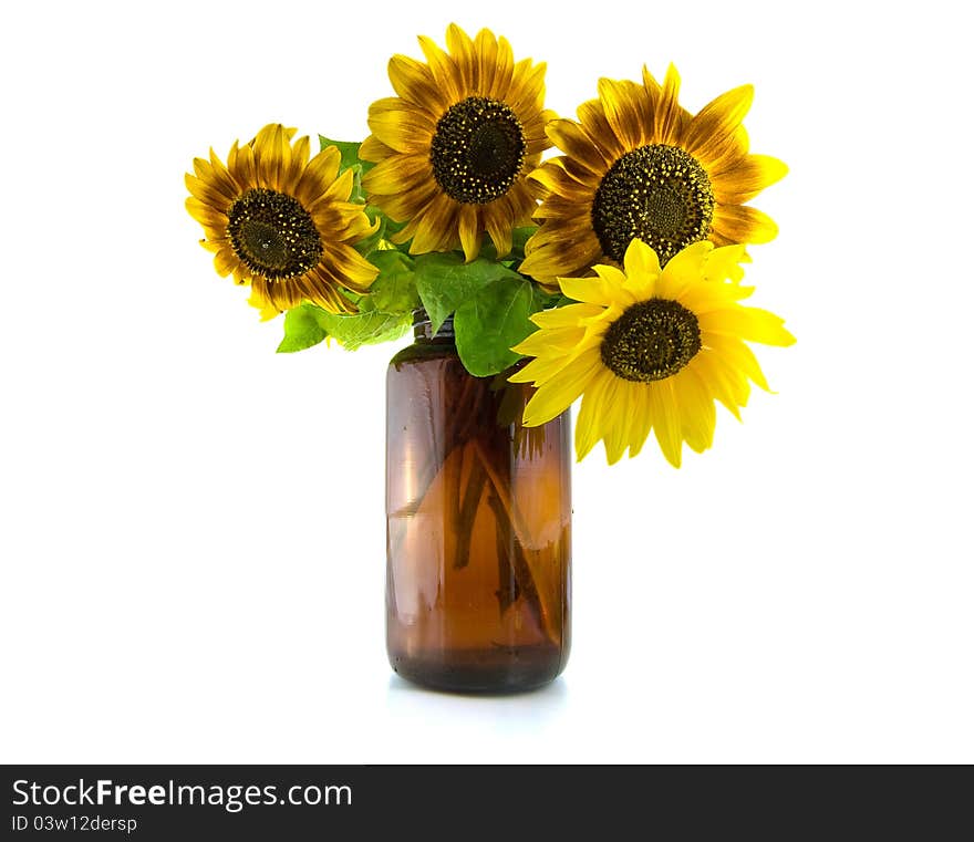 Bouquet of four Sunflowers in vase