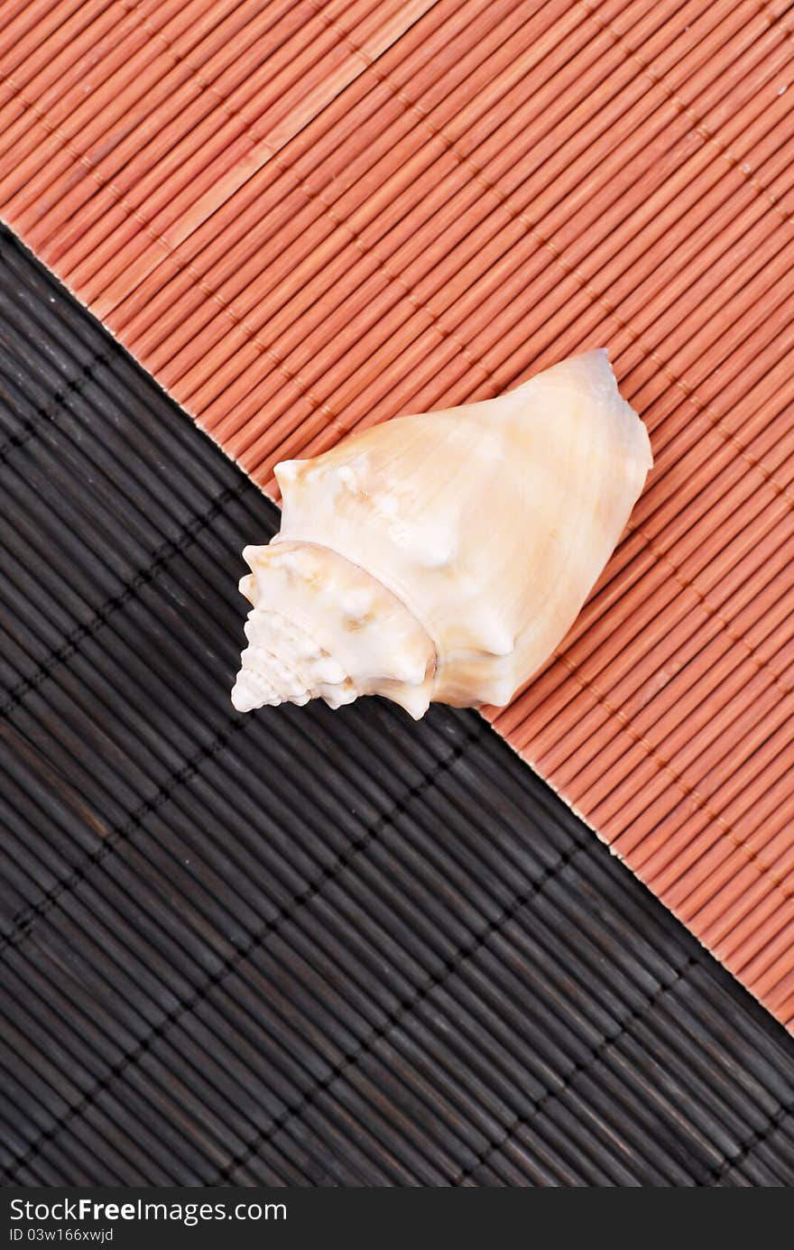 Large Shell on Two Bamboo Placemats. Large Shell on Two Bamboo Placemats