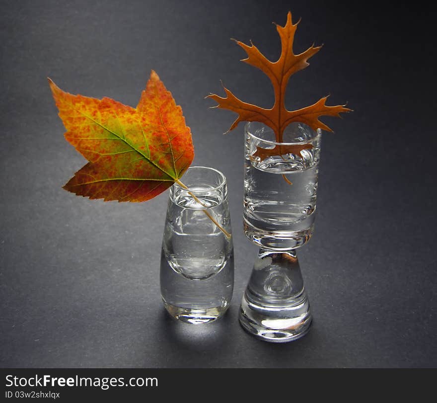 Still life with two autumn leaves in small crystal vases on gray background. Still life with two autumn leaves in small crystal vases on gray background