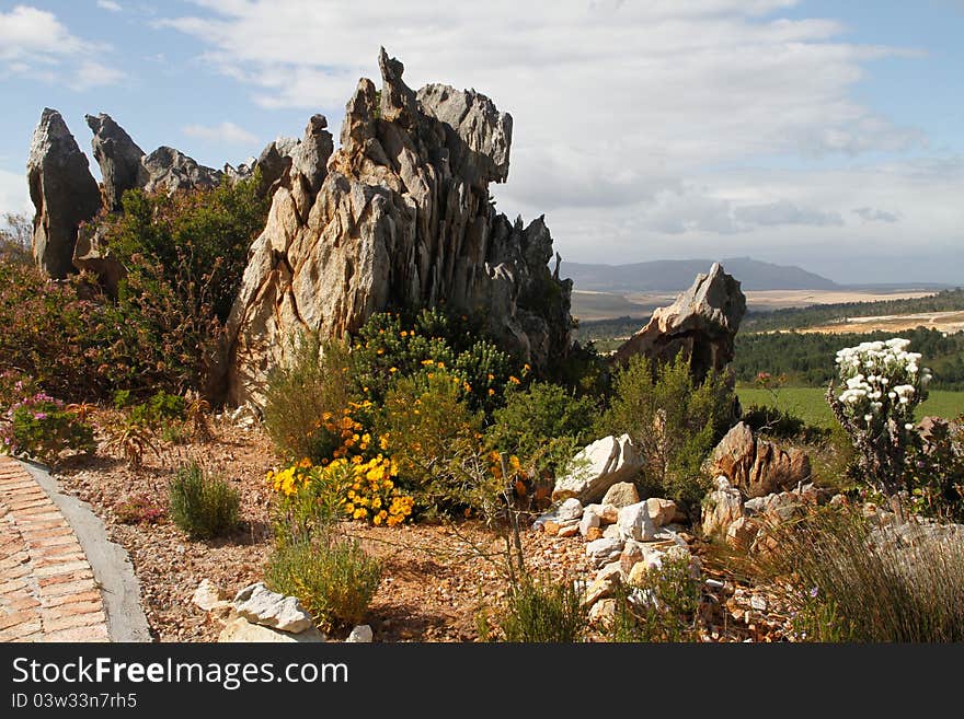 Natural fynbos flower garden rock feature formation in a country home garden. Natural fynbos flower garden rock feature formation in a country home garden