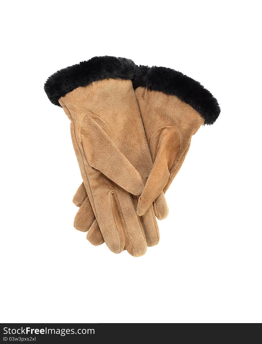 Female Winter Gloves