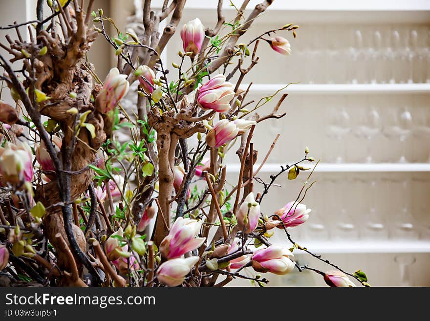 Flowers decoration and shelf with glass