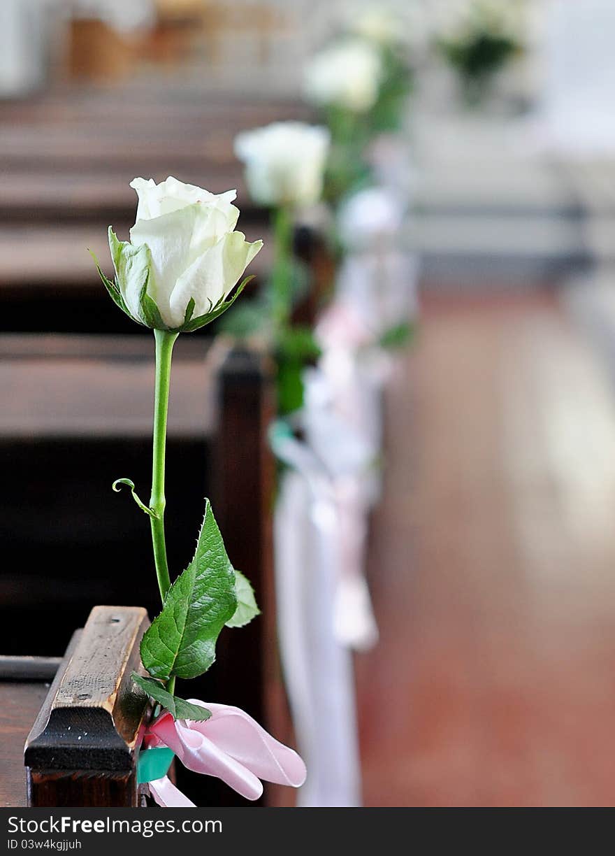 A rose on a bench in a wedding day. A rose on a bench in a wedding day