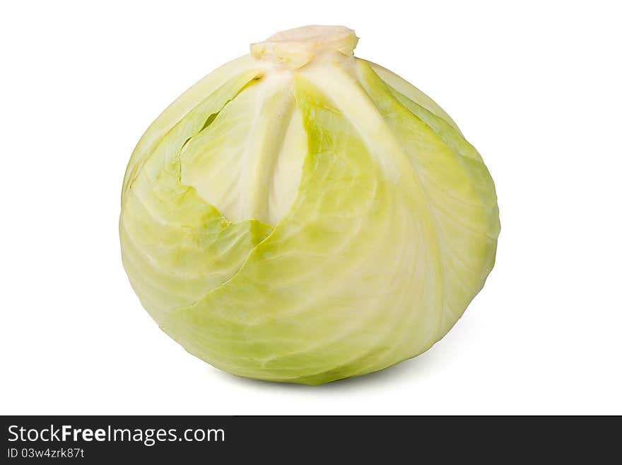 Single cabbage against white background