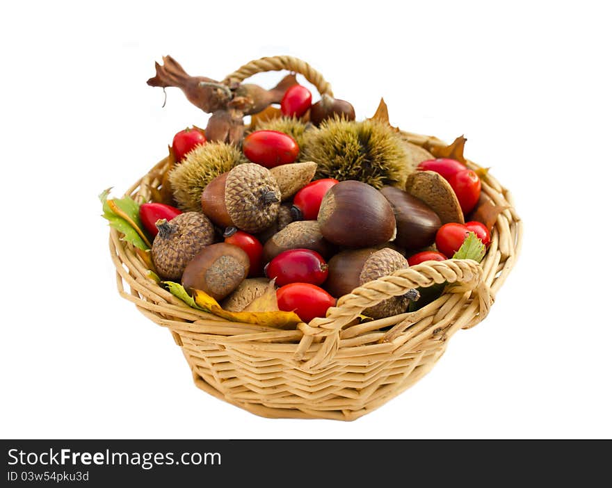 Fall arrangement in the basket isolated on white