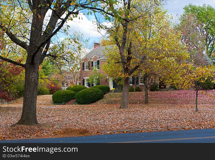 Autumn foliage at the ground on a street of typical American suburb. Autumn foliage at the ground on a street of typical American suburb.