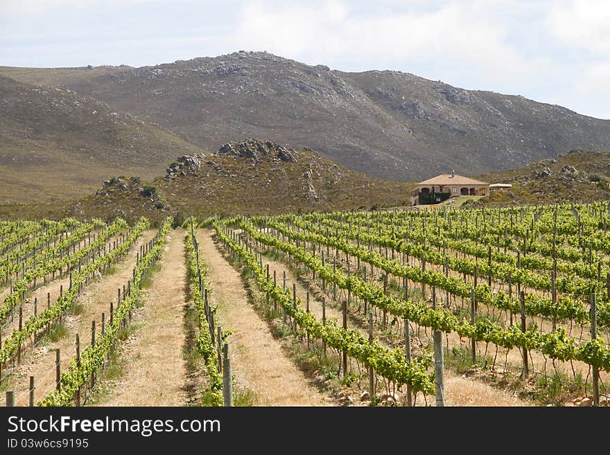 Summer Mediterranean country villa with mountains landscape and vineyards plantation. Summer Mediterranean country villa with mountains landscape and vineyards plantation