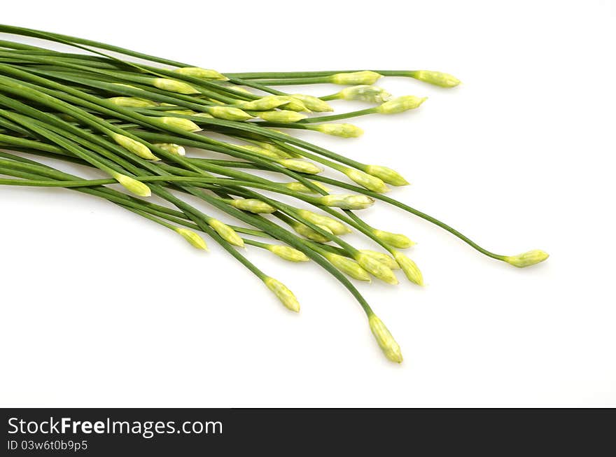 A Bunch Of Garlic Chives