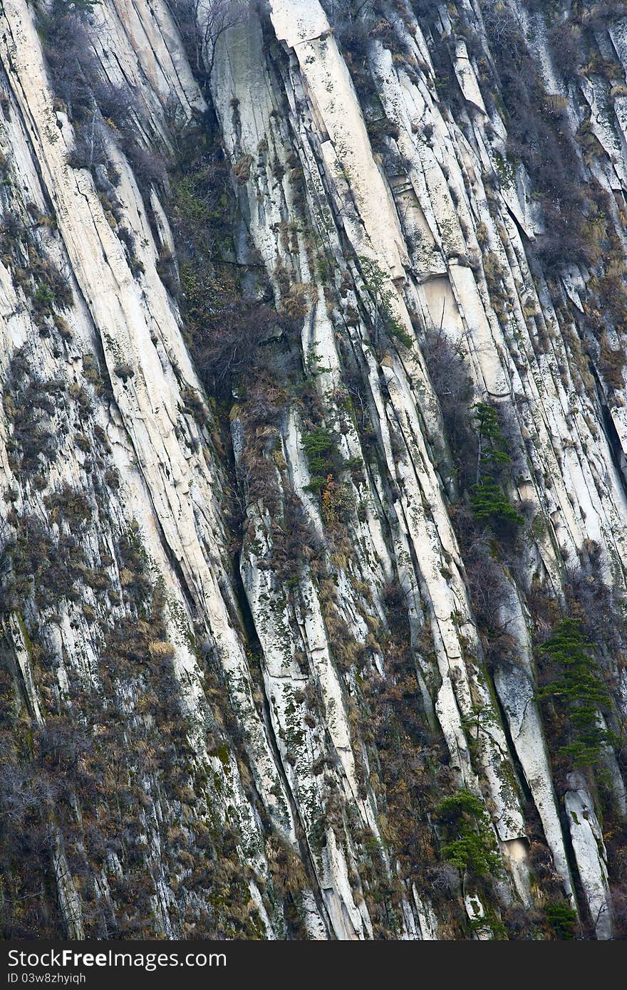 The background of cliff with rocks and trees