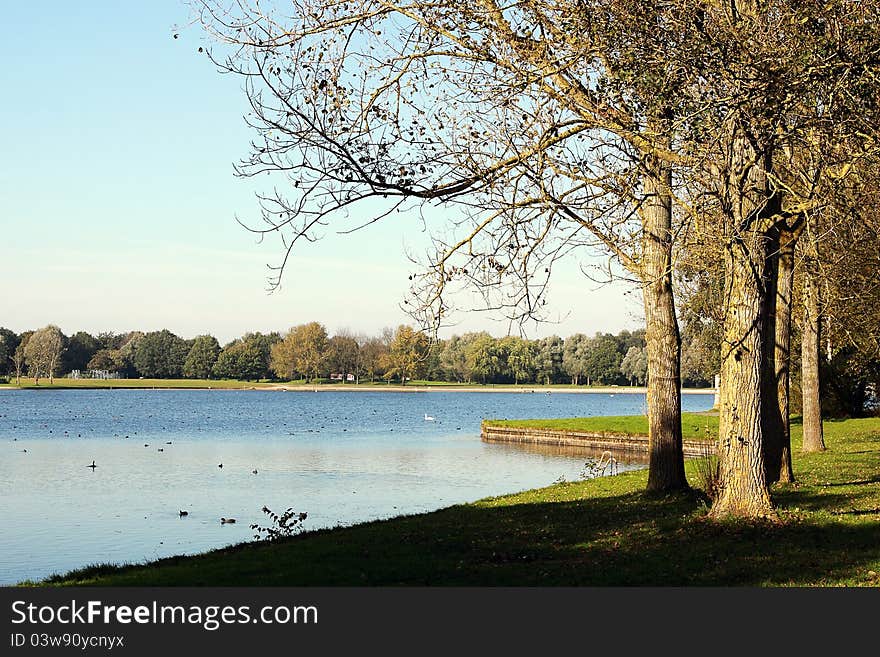 View on trees and lake in the park. View on trees and lake in the park