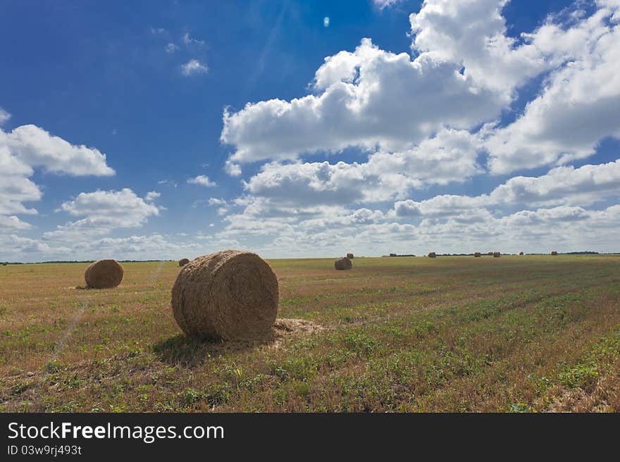 Portrait of a beautiful rural landscape - rolls of hay on the field, cloudy sky and a wonderful horizon. Portrait of a beautiful rural landscape - rolls of hay on the field, cloudy sky and a wonderful horizon