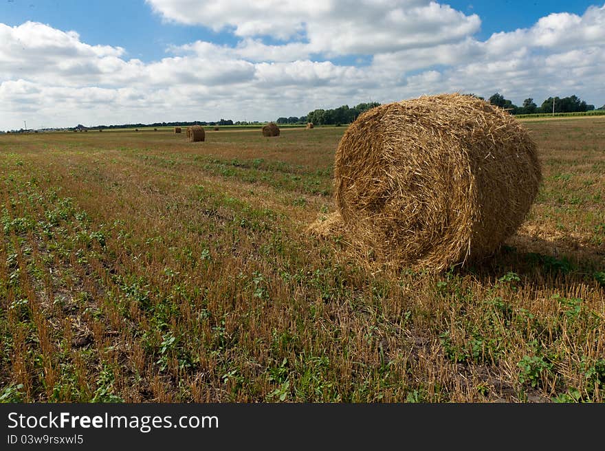 Portrait of a straw bale in a beautiful meadow. Portrait of a straw bale in a beautiful meadow