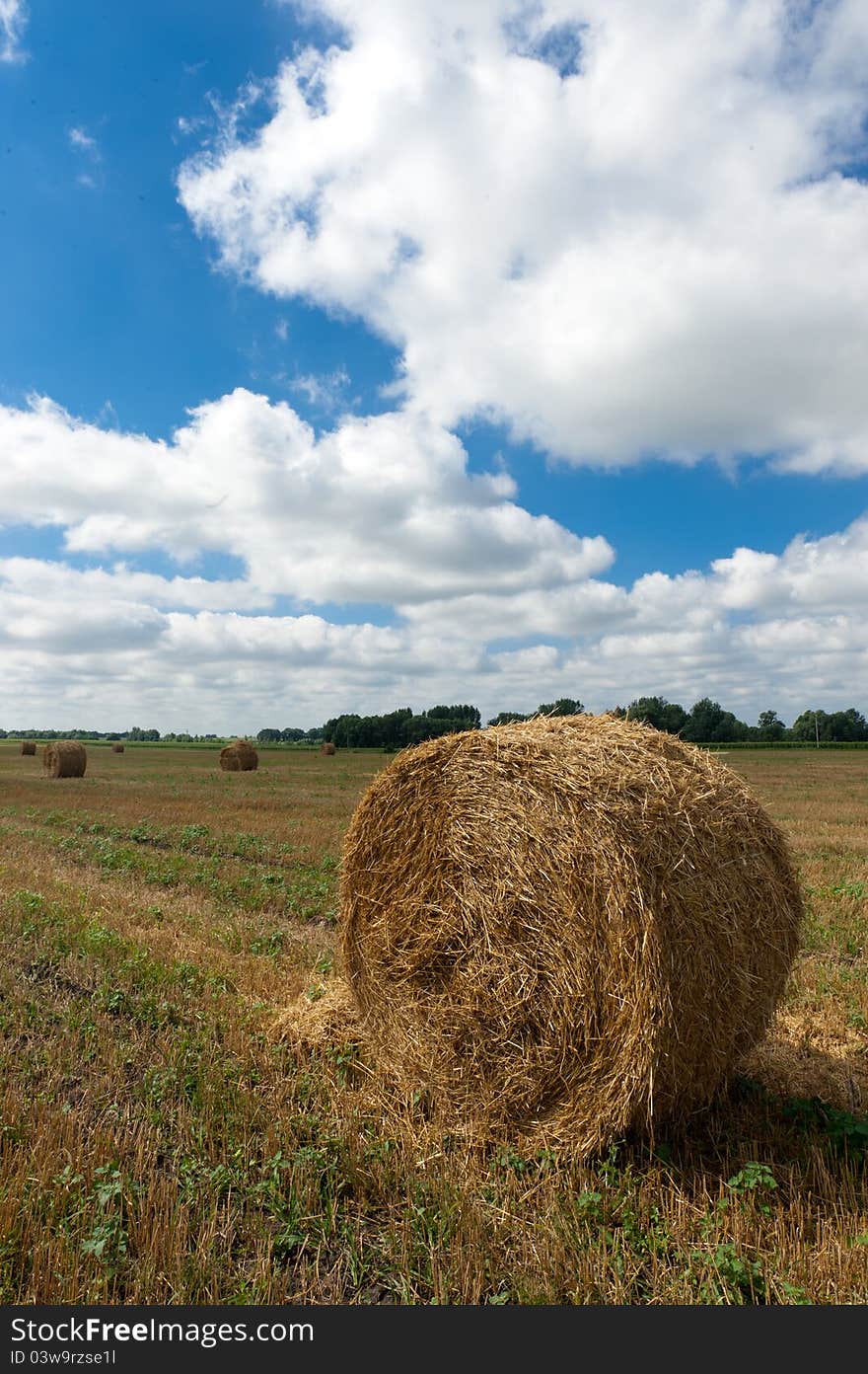 Portrait of a beautiful rural landscape - rolls of hay on the field, cloudy sky and a wonderful horizon. Portrait of a beautiful rural landscape - rolls of hay on the field, cloudy sky and a wonderful horizon