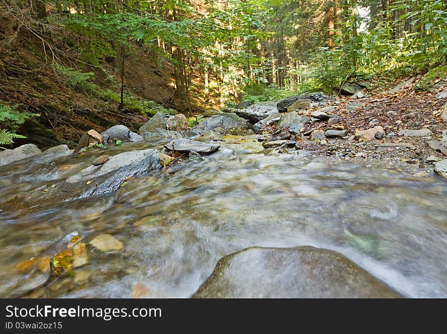 Blurred spring in forest, motion blur of river