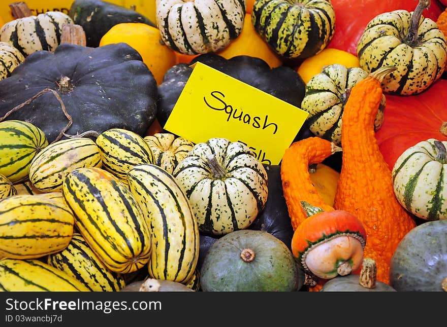 Colorful gourds and squash