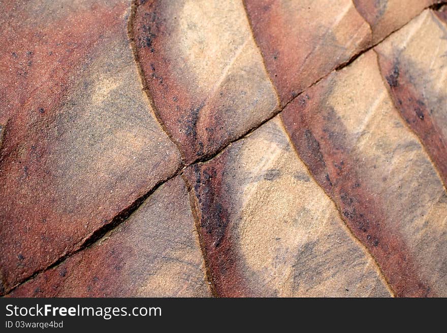 Sandstone Abstract Pattern, Petra