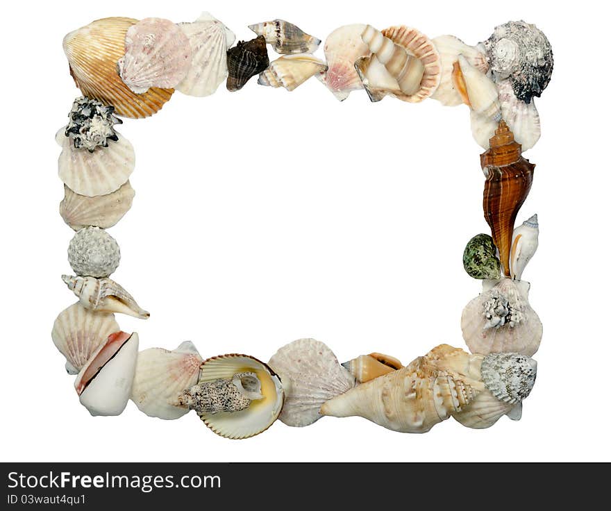 Frame made of shells, place for text