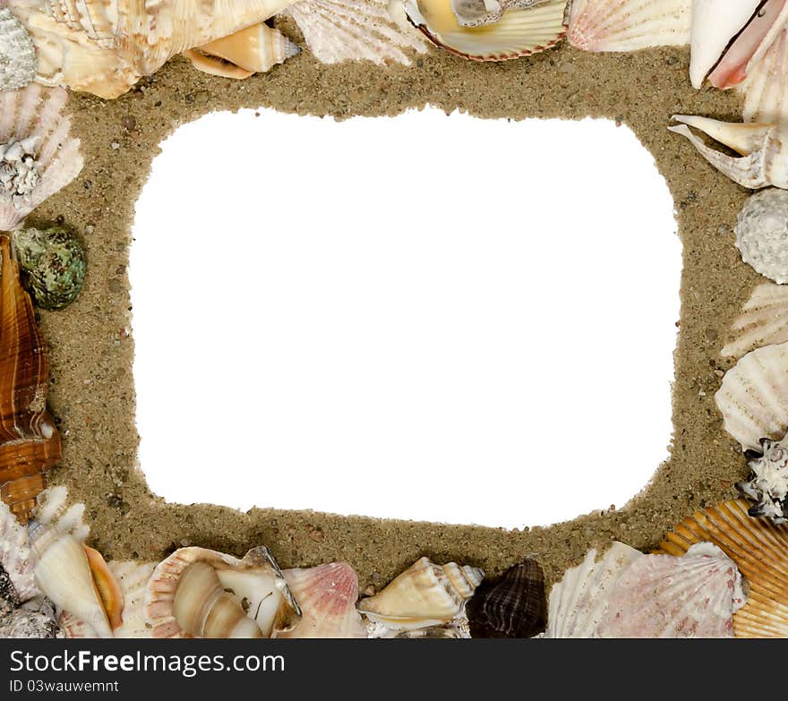 Frame made of shells, place for text