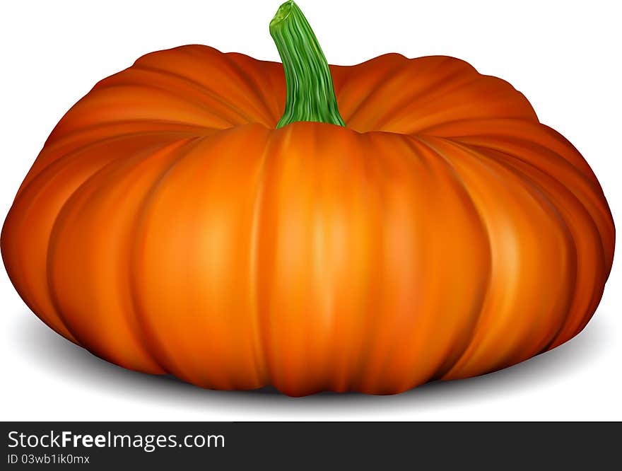 Pumpkin Isolated