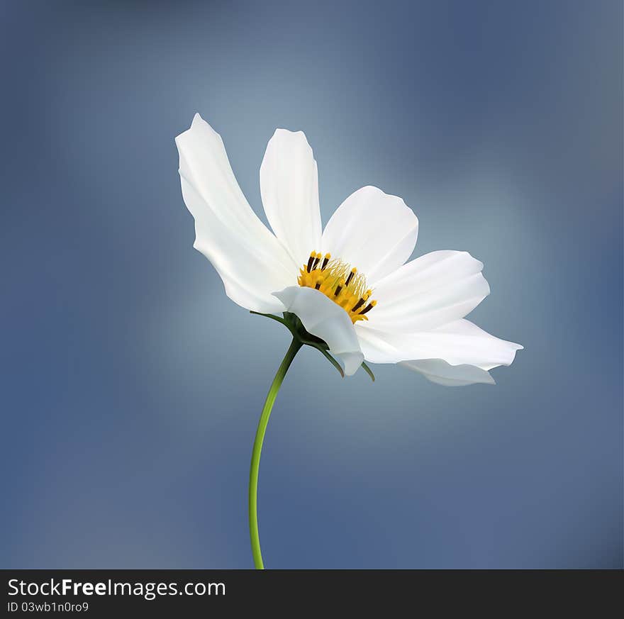 Amazing Beautiful Flower. Vector Illustration.