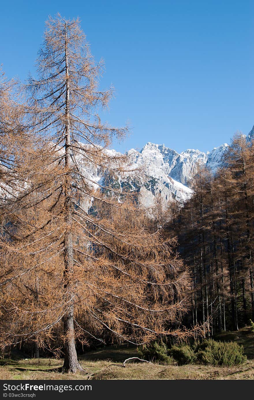 Alpe Pass