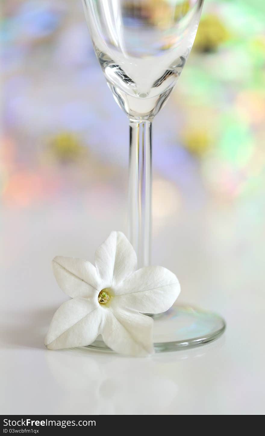 Glass with white flower on colorful glow background. Glass with white flower on colorful glow background