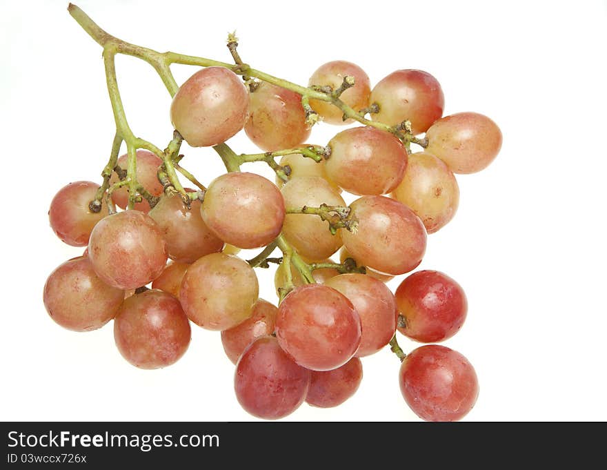 Plump Globe Grapes (Vitis Vinifera)