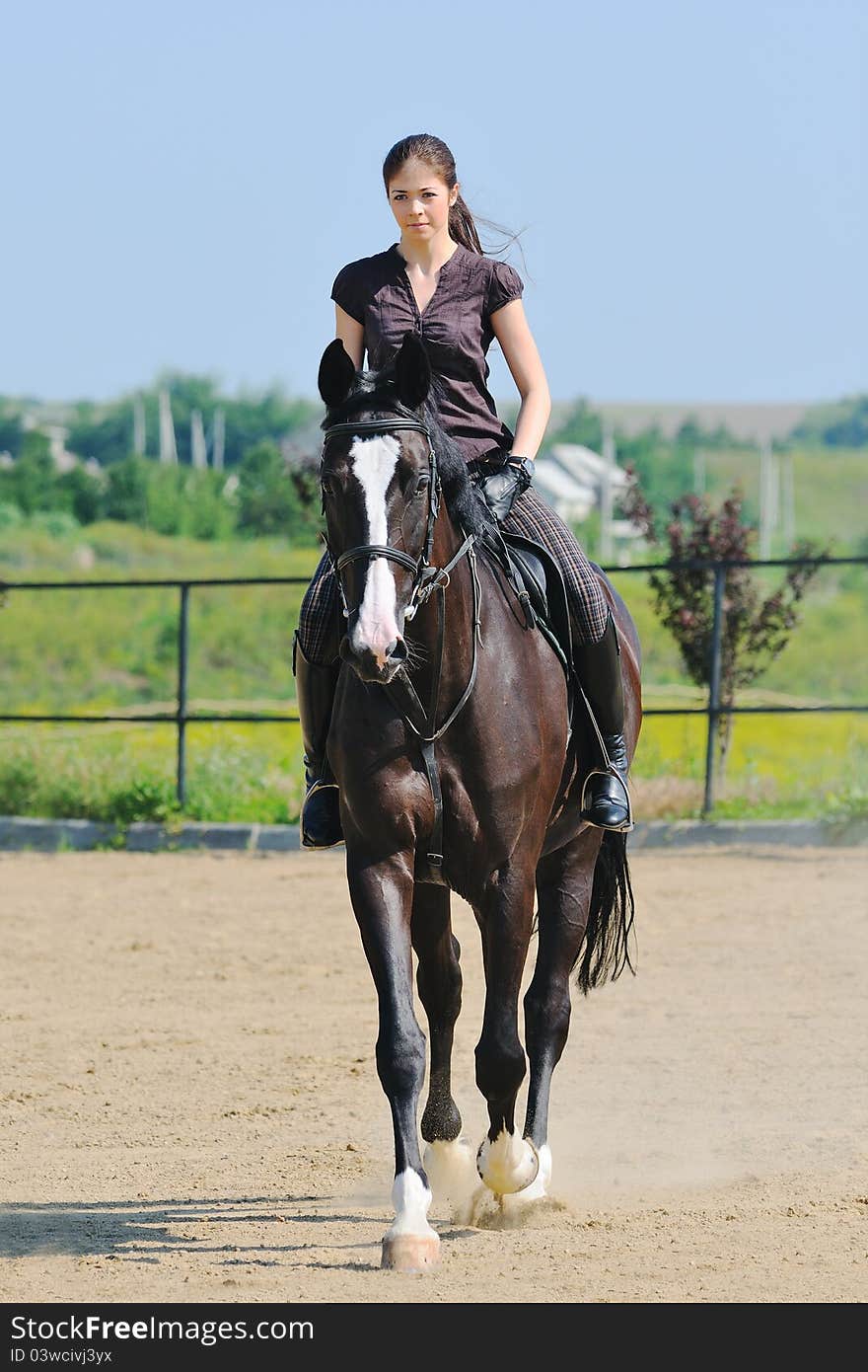 Young Girl And Black  Horse