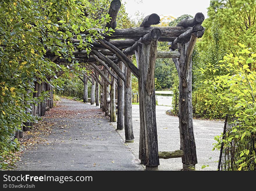 Autumn Path