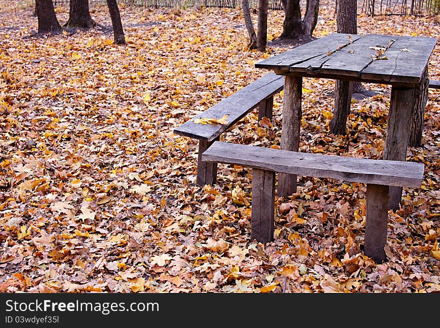 Picnic place at autumn forest