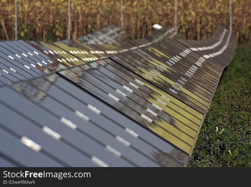 Solar panels on the large meadow. Solar panels on the large meadow