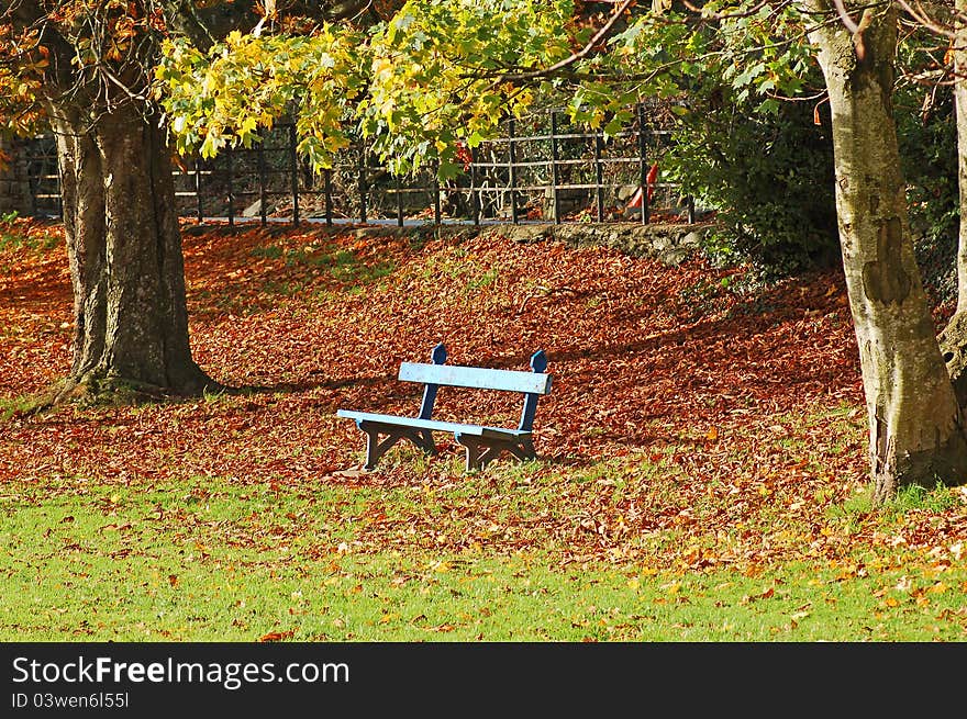 Blue seat in Autumn