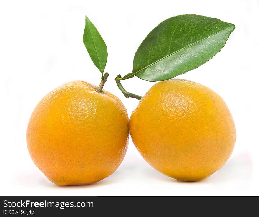 Two fresh oranges, with leaves.