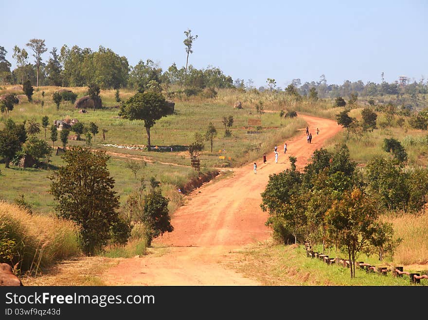 Traveller walk at Curve Dirt road