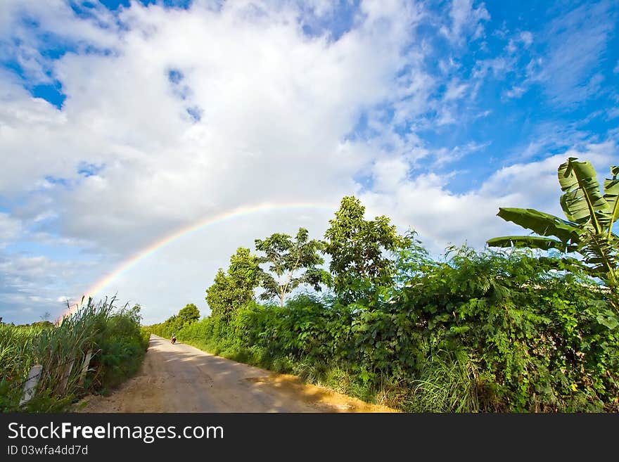 Pathway to Rainbow with dirt pathway