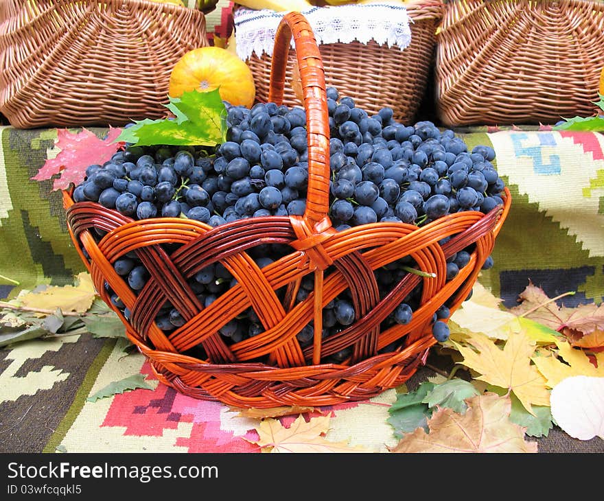 Grapes in the basket. Grapevine over carpet and leaves background