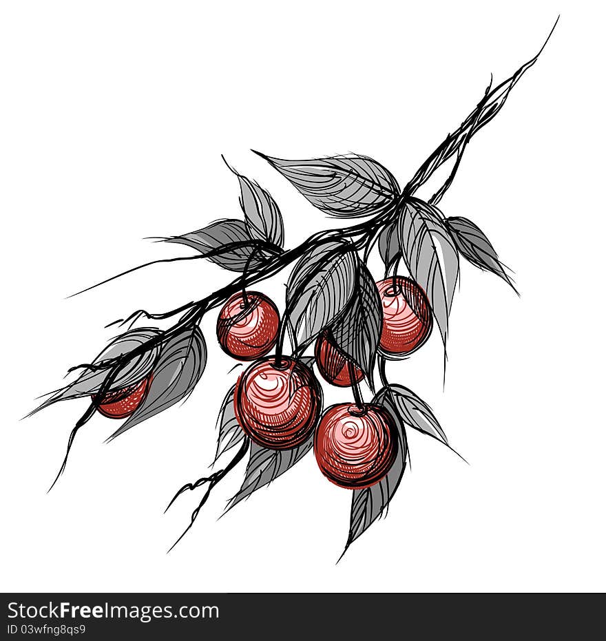 Cherries With Leaves