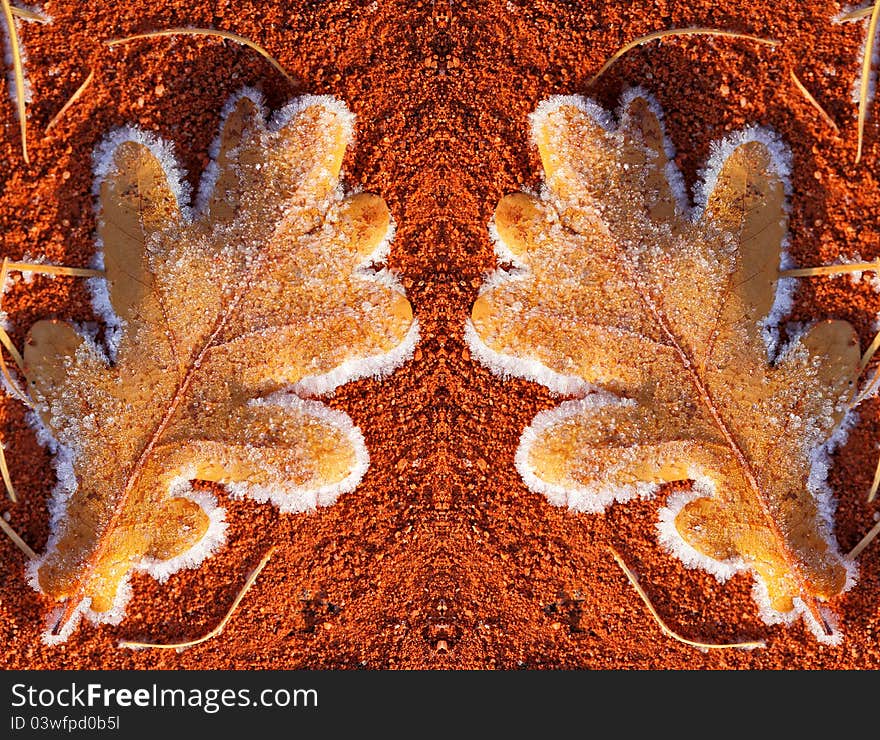 Oak leaf with frost on red court background