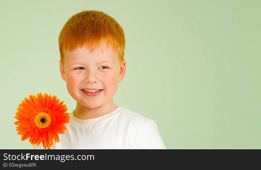 Adorable Redheaded Boy With Orange African Daisy